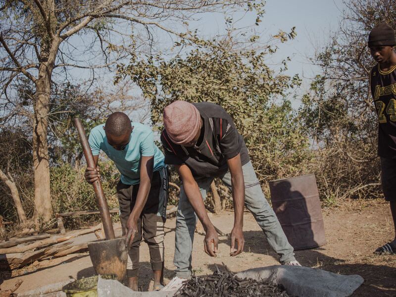 Zwei Männer zerkleinern verkohltes Pflanzenmaterial zur Brikettherstellung in Sambia